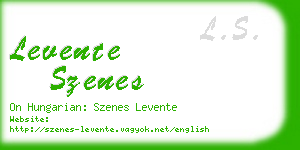 levente szenes business card